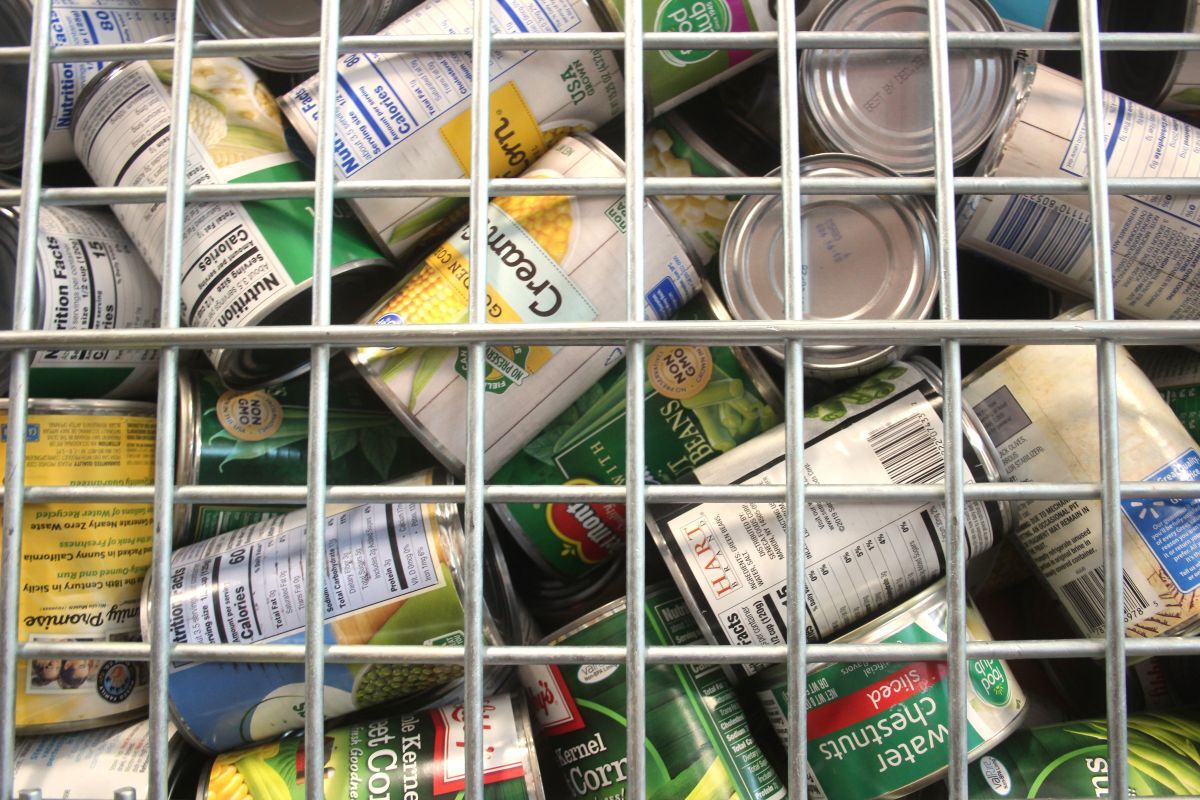 Canned food container